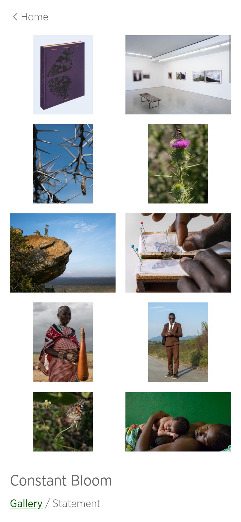 Mobile Ansicht der Foglia-Projektseite: zwei Spalten Bilder, oben links Home-Link, unten der Projekttitel.